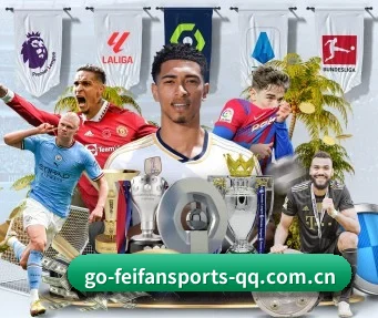 非凡体育 APP(FEIFAN SPORTS)